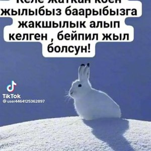 Платье Оптом Отправка по СНГ Рынок Дордой Ряд Билайн