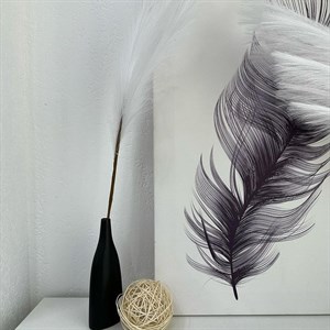    D R E S S B E R R Y     Дордой Европа 1 проход