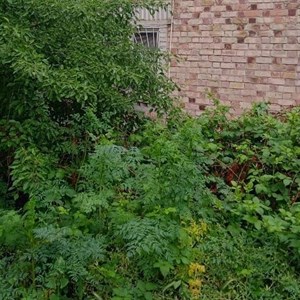 Продаю дачу на Панораме Требуется ремонт 3 этажа Средний