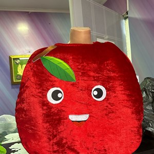 Костюм Яблоко размер стандарт в завязке 5шт подходит