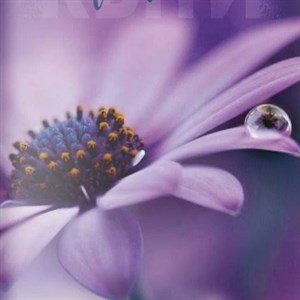 Любите жизнь не дай Вам Бог отчаяться Любите жизнь