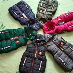 380ом 3 6 лет с мехом