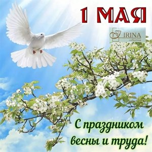 Фирма IRINA поздравляет всех с праздником