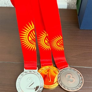 Медали для награждения победителей и призеров соревнований | Высокое качество и стиль
