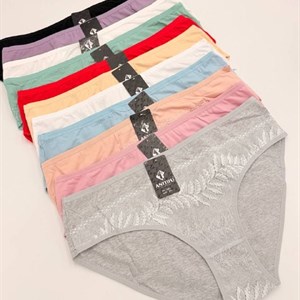 Новинки женского нижнего белья ANTTIFU оптом — модели 2482, размеры XL–3XL