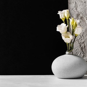    D R E S S B E R R Y     Дордой Европа 1 проход