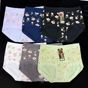 Трусы бамбуковые оптом 3XL (50–52) — артикул 1608