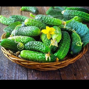 Как очистить почки огурцом Процедура очищения рассчитана