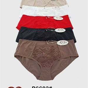 Женское нижнее бельё ORIETTA AVEC 6603 оптом — размеры L–4XL, 5 цветов