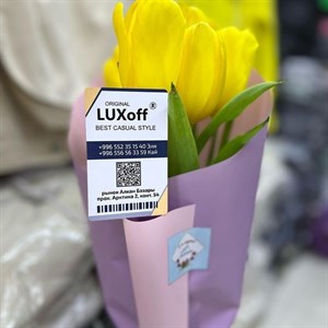 ______________________ Наш адрес г Бишкек Кыргызстан