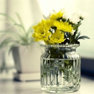    D R E S S B E R R Y     Дордой Европа 1 проход