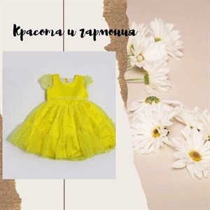 28 34 30 36 30 38 р ры Кыргызстан Бишкек Дордой р