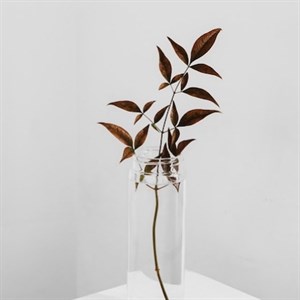 Дорогие милые девочки   девушки   женщины       поздравляю