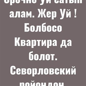Уй сатып алам Жер Уй болбосо квартира да болот Кайсынысы