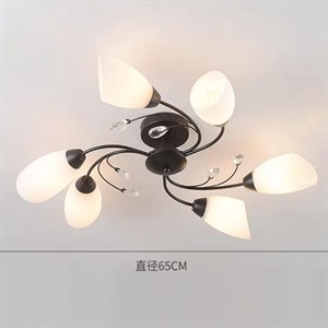 В наличии 6 лампа 5500сом количество ограничено Цена