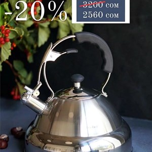 Не упустите осеннюю АКЦИЮ СКИДКИ 20 на Чайник Granhel