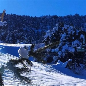 Огромный выбор Выгляди стильно Лёгкое комфортное