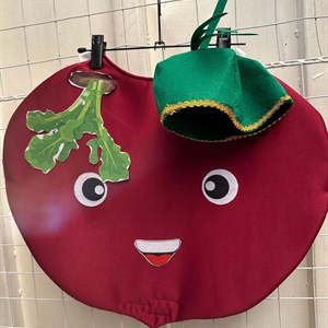 Осенние новинки Костюм Свеклы Размер стандарт оптом