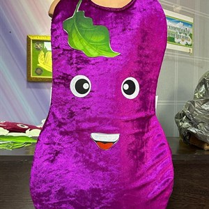 Осенние новинки костюм баклажаны оптом 600сом