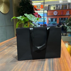 Получили повтор пакета