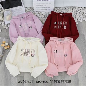   ТОЛЬКО ОПТОМ   Толстовка на флисе Ростовка 120