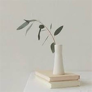    D R E S S B E R R Y     Дордой Европа 1 проход