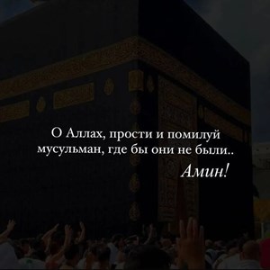 ШАРФЫ ПЛАТКИ ТРУБЫ ХИМАРЫ БОНЕ АКСЕССУАРЫ ДЛЯ ПЛАТКОВ
