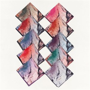 ПЛАТКИ PICASSO ДЕТАЛИ В КАРУСЕЛИ   ОПТОМ 300 сом