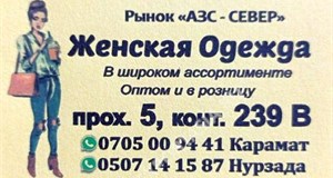 Дордой АЗС-Север 5 проход 239В