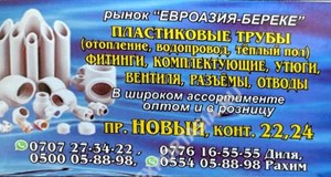 Дордой Евразия (Береке) Новый 22