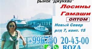 Дордой Джунхай 7 проход Новый Север 15