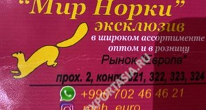 Дордой Европа 2 проход 321