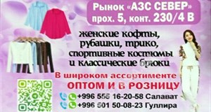 Дордой АЗС-Север 5 проход 230/4В