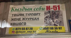 Мадина H ряд 51