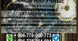 Дордой Джунхай Север проход 11/1